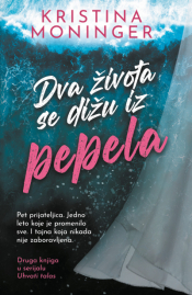 dva života se dižu iz pepela laguna knjige