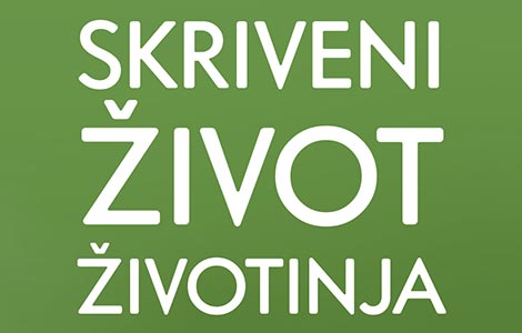 prikaz knjige skriveni život životinja  laguna knjige