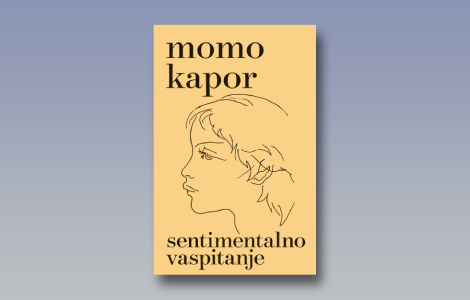 prikaz knjige sentimentalno vaspitanje hrestomatija za više generacija laguna knjige