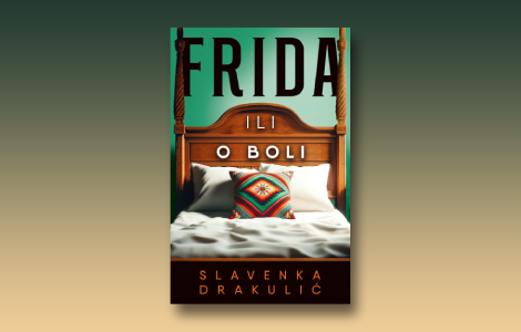 prikaz romana frida ili o boli za fridu je slikanje bilo jedino utočište laguna knjige