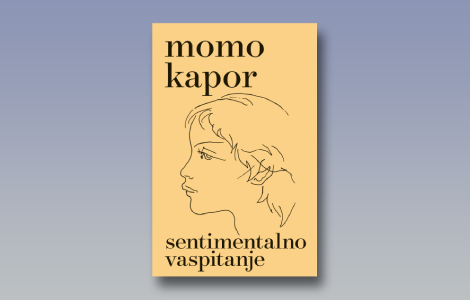 prikaz knjige sentimentalno vaspitanje portal u imaginarni svet moma kapora laguna knjige
