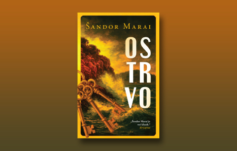 prikaz romana ostrvo misterije identiteta modernog antiheroja laguna knjige