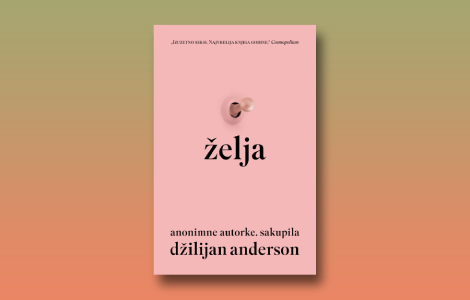 prikaz knjige želja ogledalo unutrašnjeg sveta žena laguna knjige